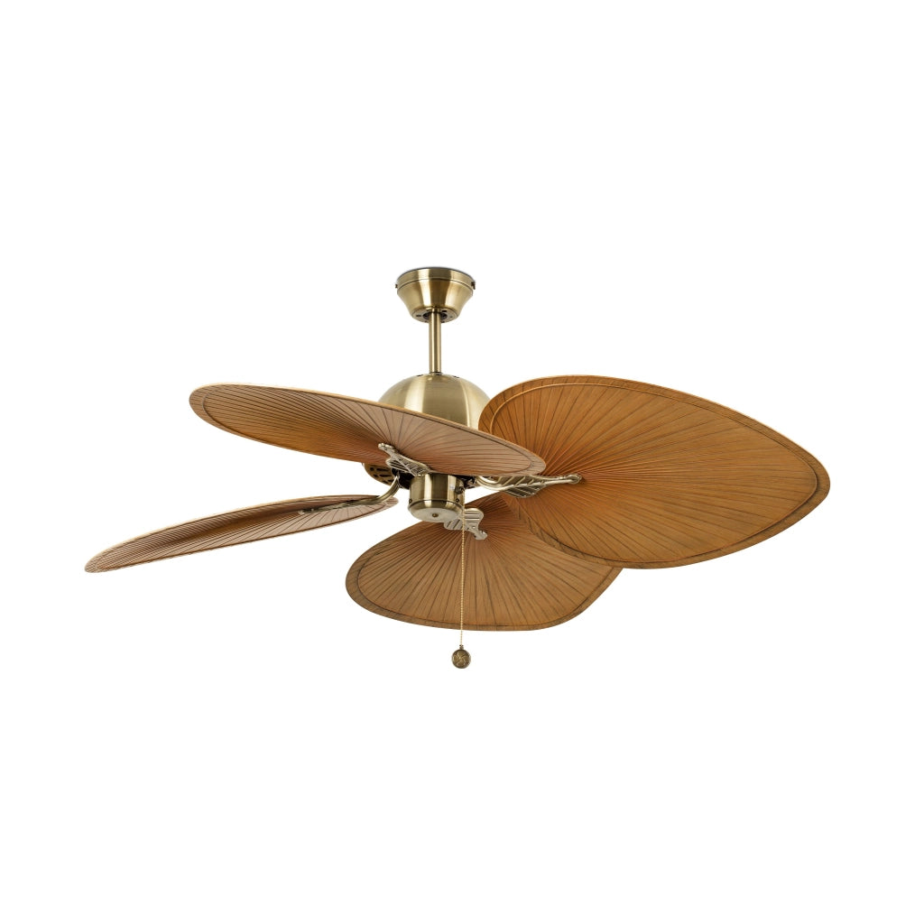 CUBA, Ventilatore senza Luce, Faro Barcelona
