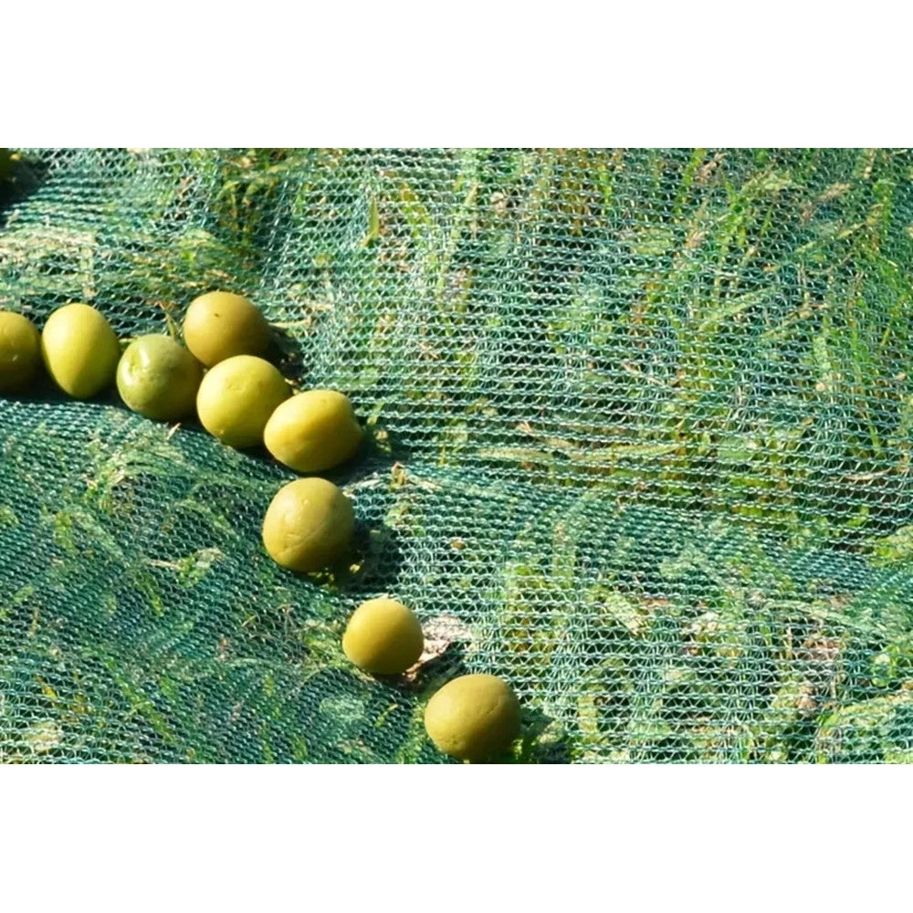 Trade Shop - Set 3pz Rete Per Raccolta Olive Frutta Piantagioni Resistente Durevole 3x10mt Verde 222271 -