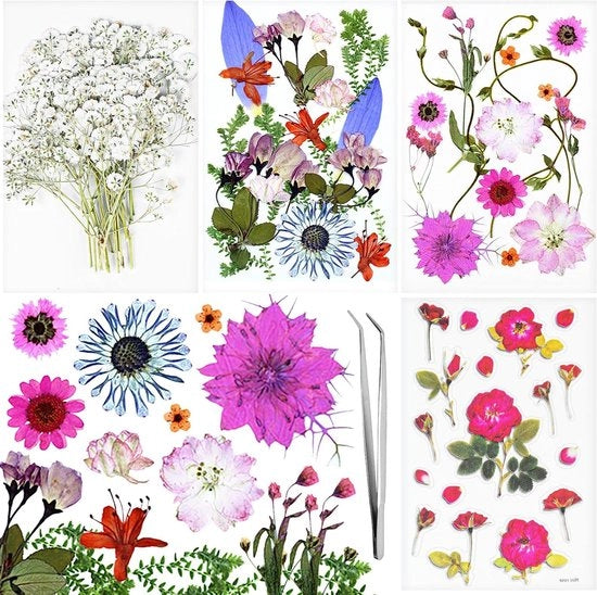 Fiori Secchi - Fiori di Gypsophila - Hars per Nail Art - Attività di Lusso DIY - Set Fiori Secchi con Pinzetta - Fiori Preformati - Sticker di Rosa - Libretti da Appendere - Candela