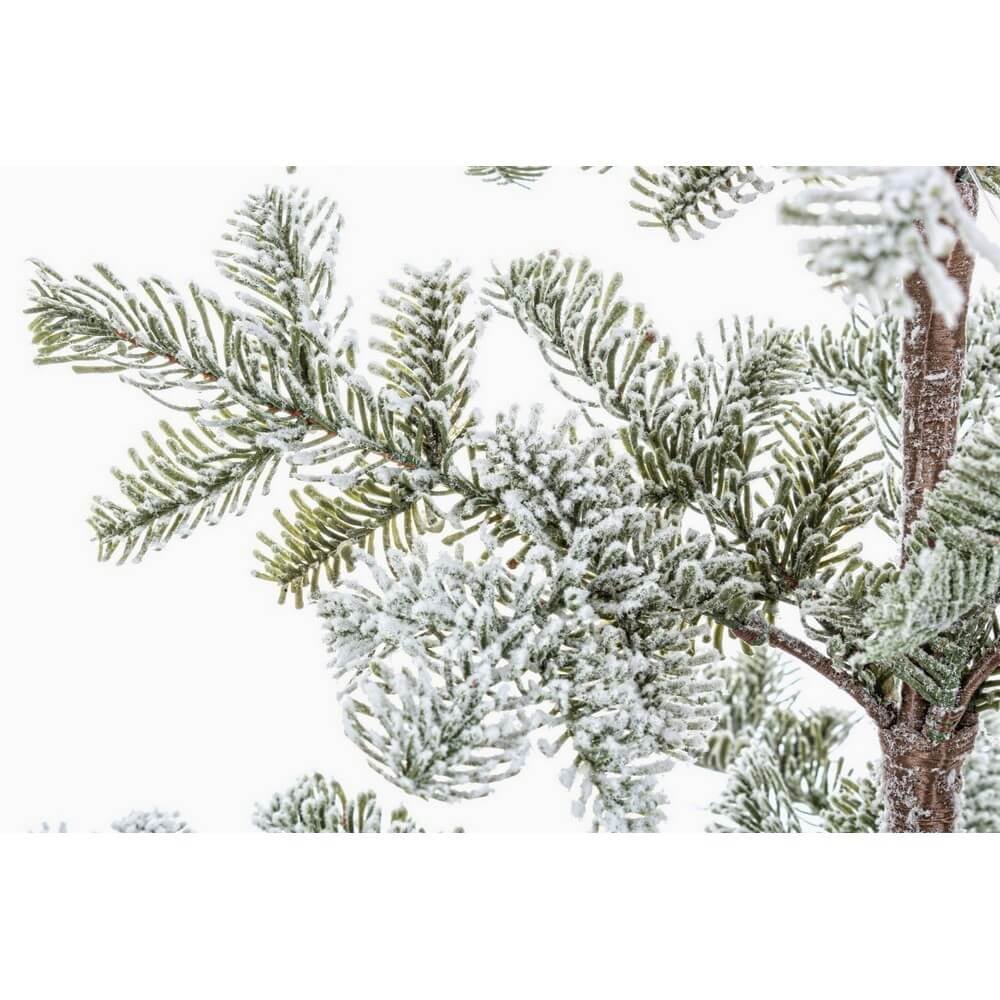 Pino Peralba innevato H113