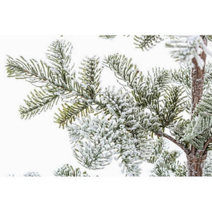 Pino Peralba innevato H113