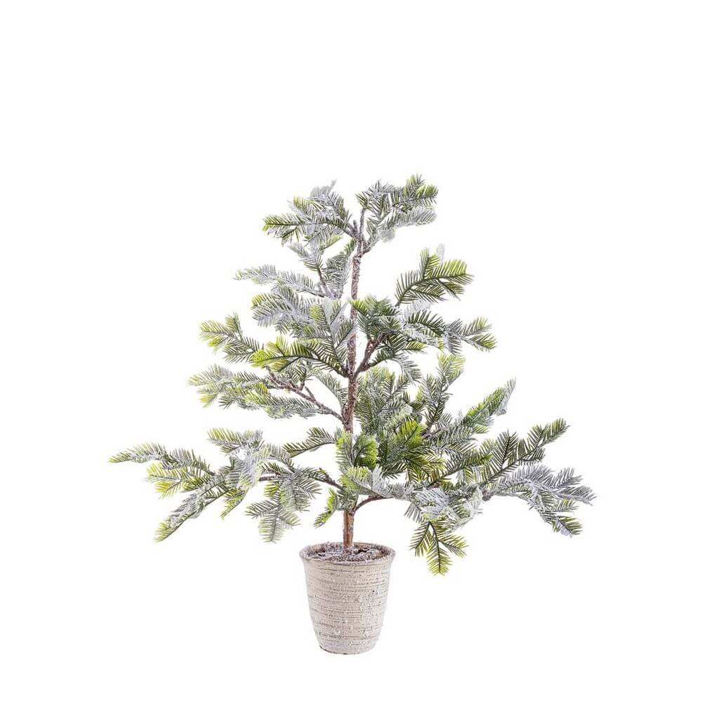 Pino Iceberg innevato con vaso H60