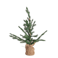 Pino Decorativo Nordend Altezza 60cm (6 Pezzi)