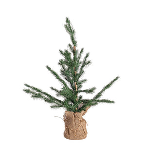 Pino Decorativo Nordend Altezza 60cm (6 Pezzi)