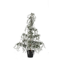 Pino Collalto innevato H120