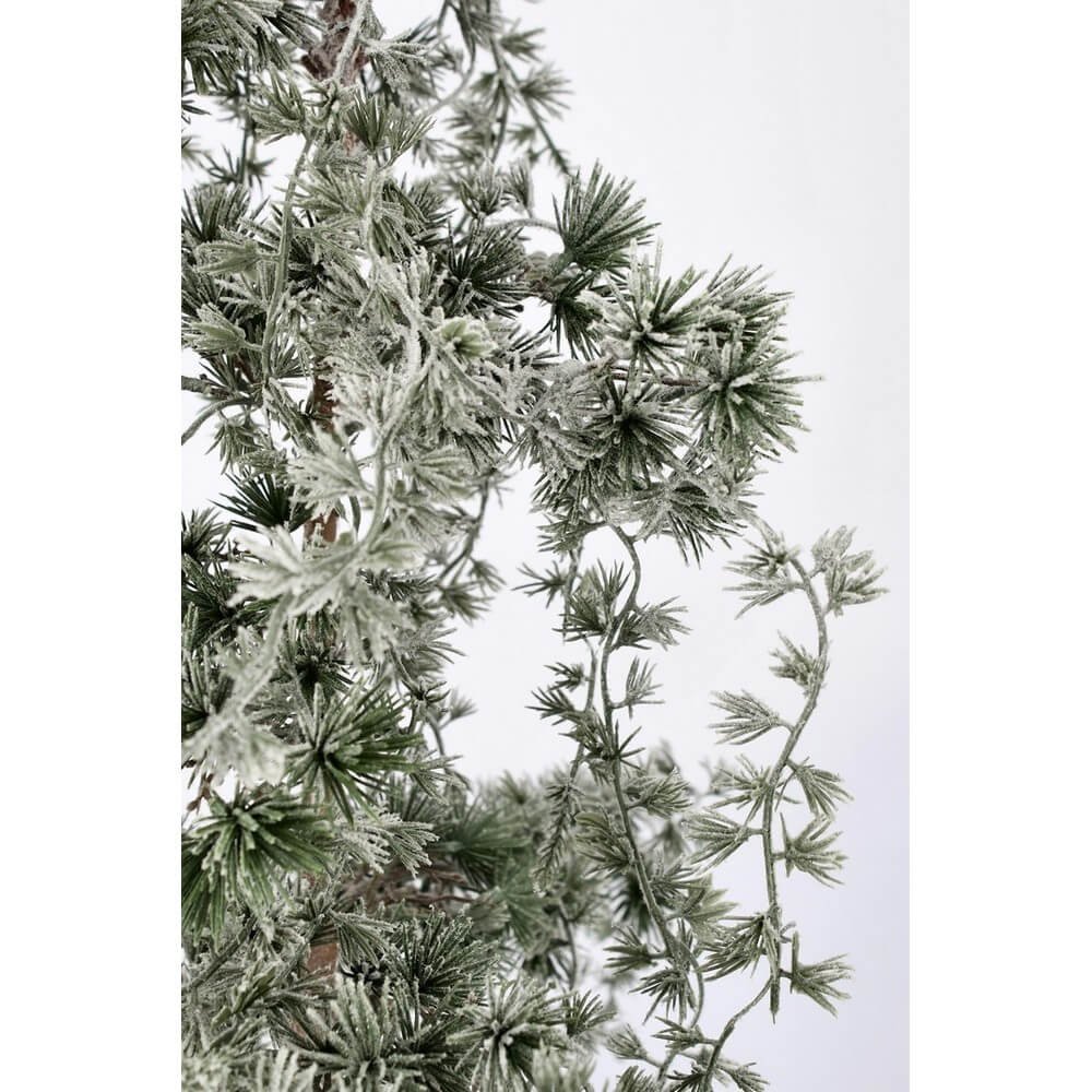 Pino Collalto innevato H120