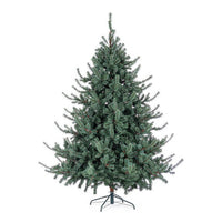 Albero di Natale Serrone glauco H210 con 1698 rami