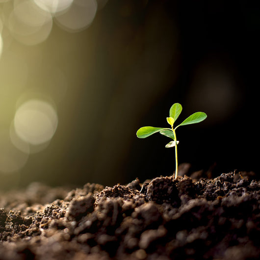 Concime Universale Blu 5 kg SBM