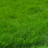 Concime Universale Blu 5 kg SBM