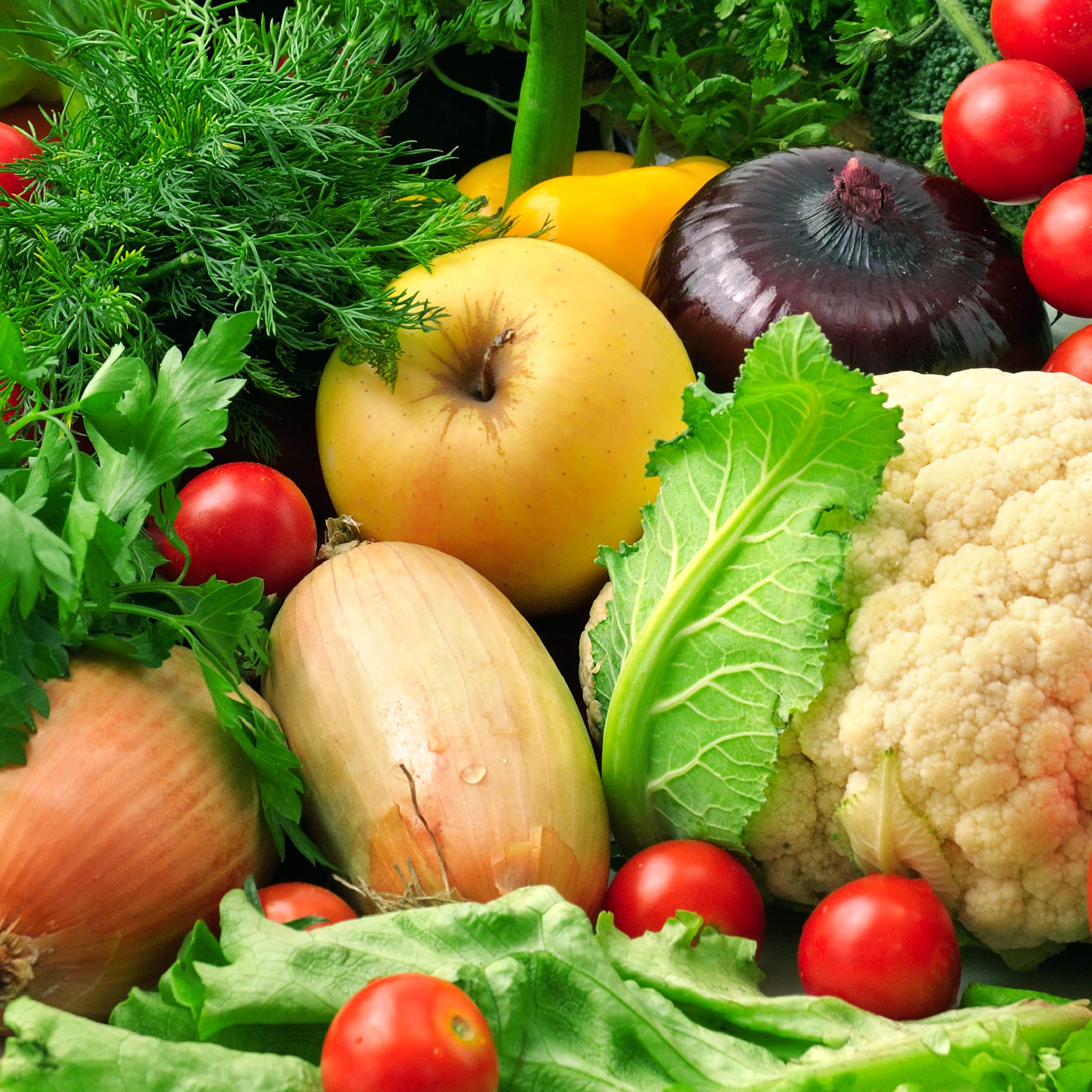 Concime Universale Blu 5 kg SBM