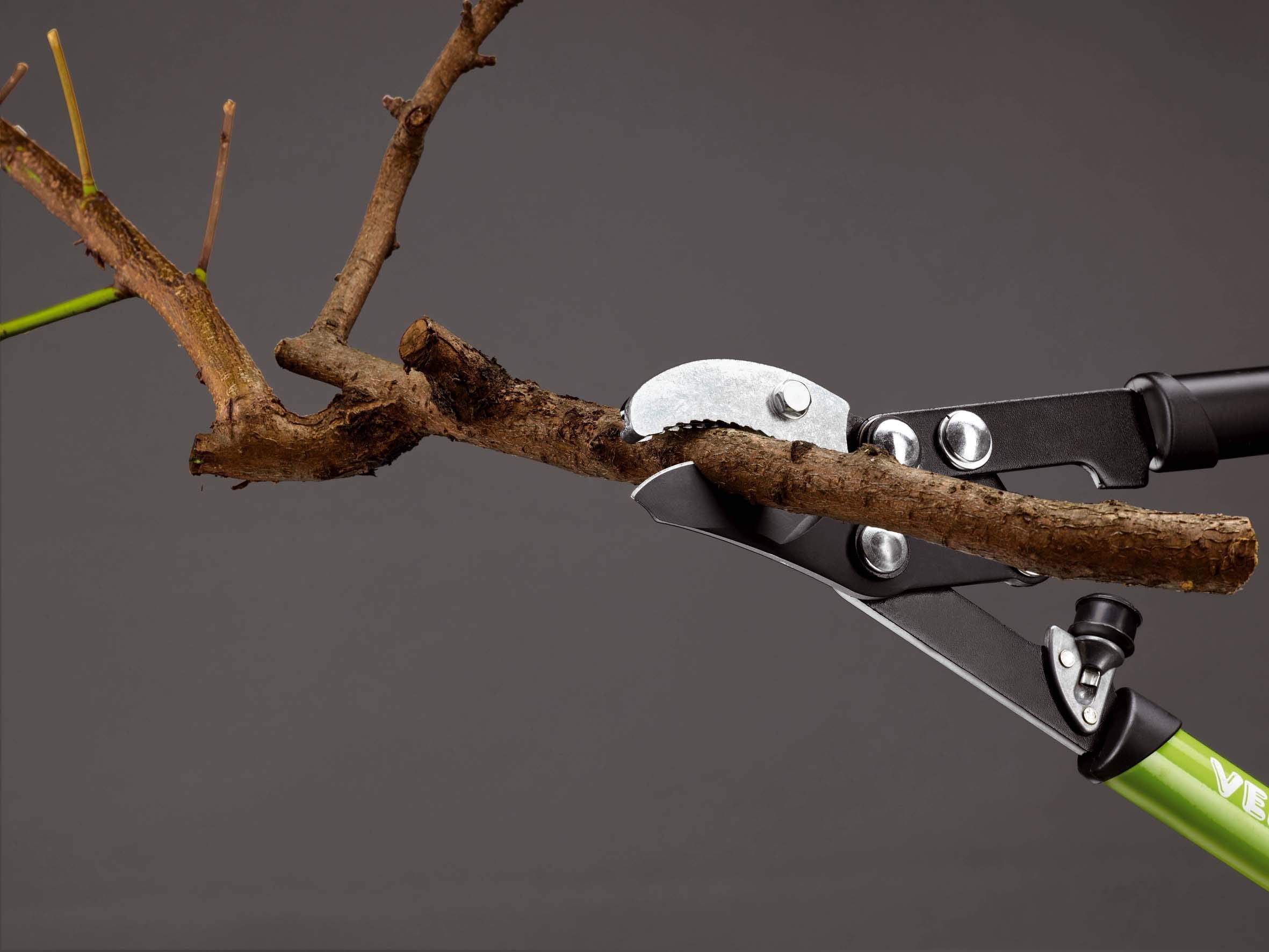 Gaebi - Troncarami Con Rinvio A Battente Cm 75