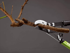 Gaebi - Troncarami Con Rinvio A Battente Cm 75