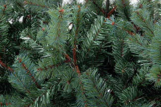 Albero di Natale Slim Serrone glauco H180 con 660 rami