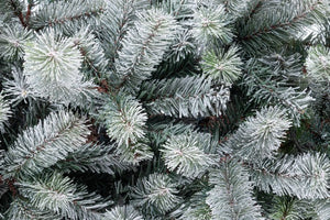 Albero di Natale Slim Serrone ghiacciato H210 con 918 rami