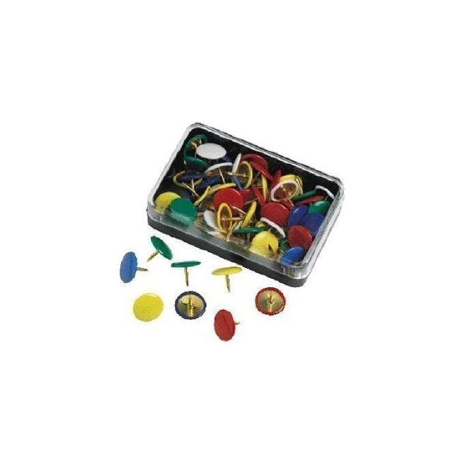 Molho Leone Pins Plastic Cover Multicolore
