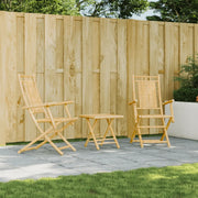 Sedie da Giardino Pieghevoli 2 pz 53x66x99 cm in BambÃ¹