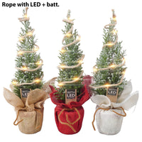 Ellwoodii, o Falso Cipresso,  con led versione natalizia H 32 CM Foto reali