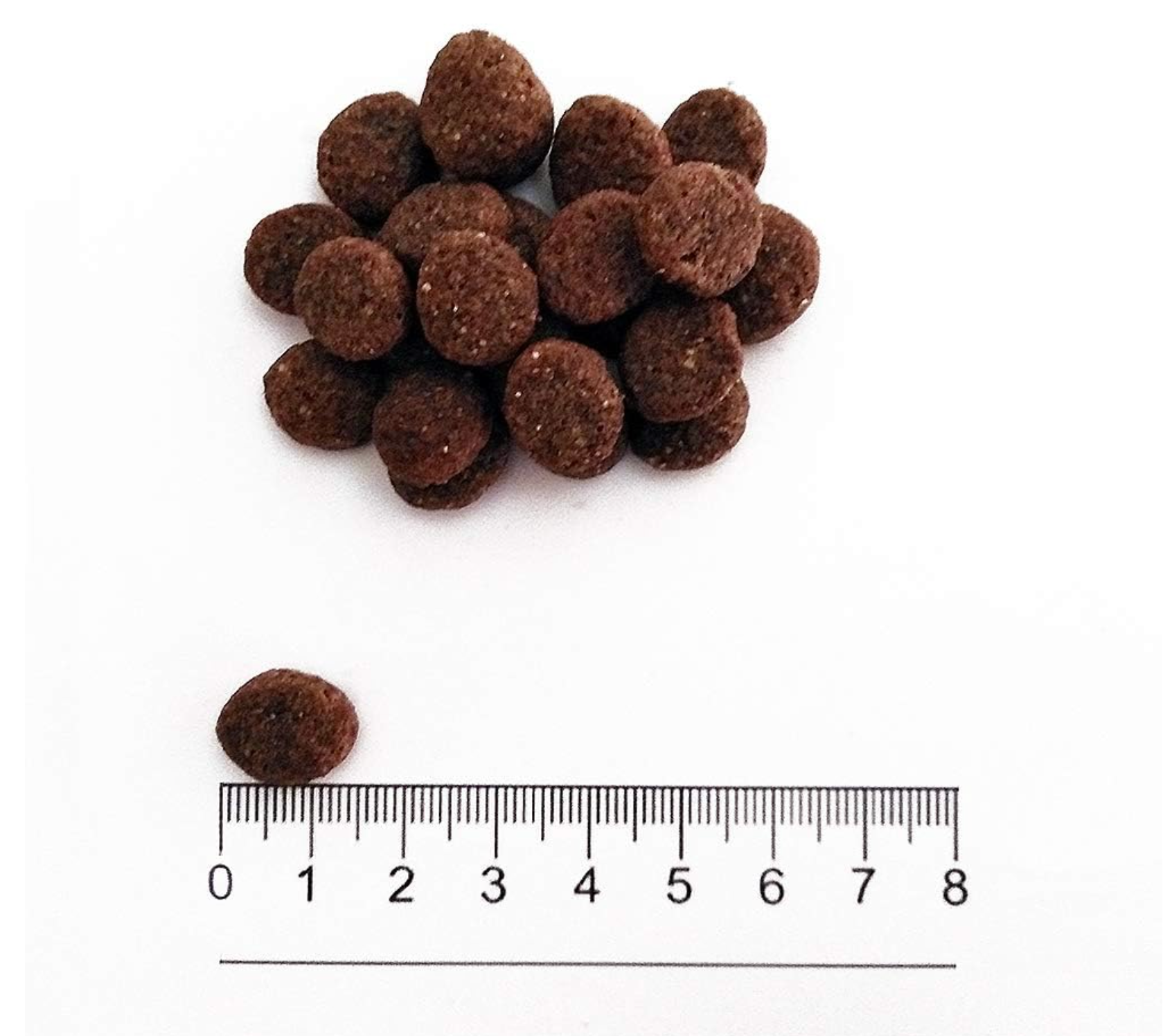 Prolife Smart Puppy Medium Pollo E Riso 10 kg