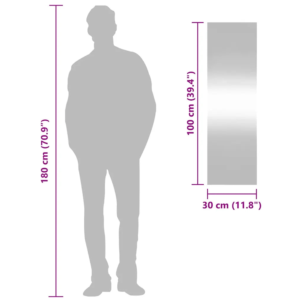 Specchio da Parete 30x100 cm Vetro Rettangolare