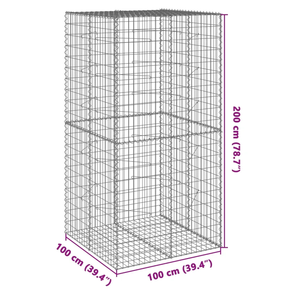 vidaXL Cesto Gabbione con Copertura 100x100x200 cm in Ferro Zincato
