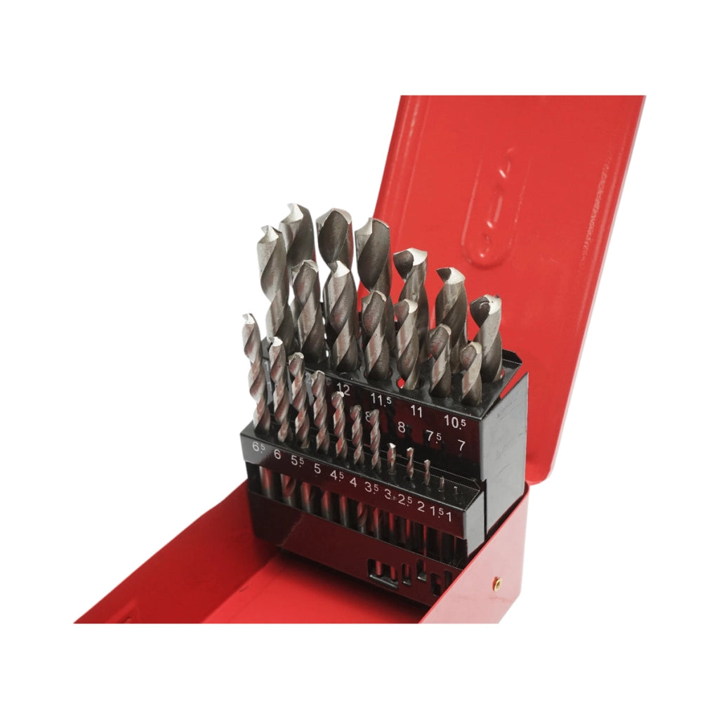 Set di 25 punte elicoidali da 1-13 mm per metallo con gambo cilindrico