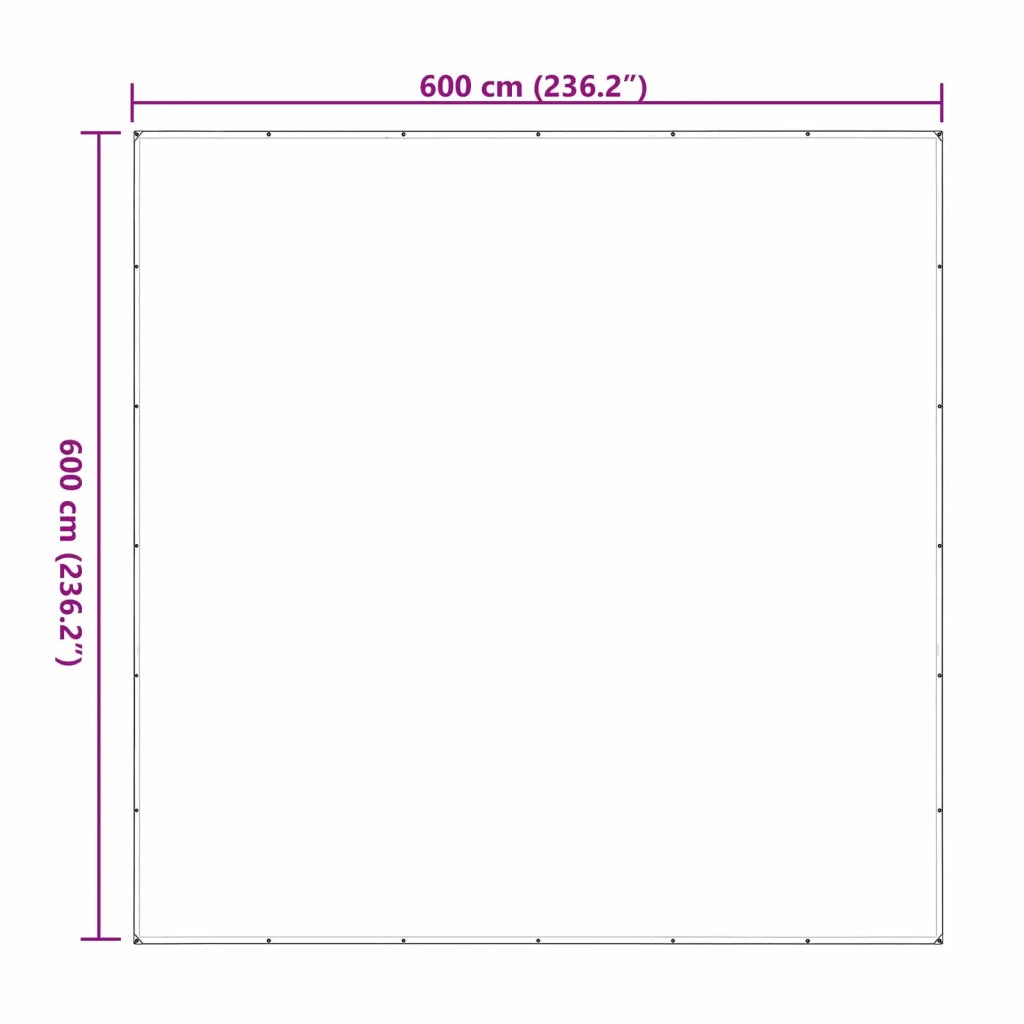 Copertura per Piante Trasparente 6 x 6 m PE CFW7641985