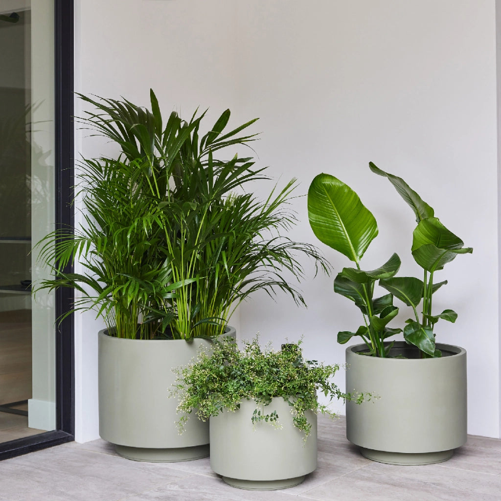 PORTAVASO REECE D.47CMXH40CM VERDE/GRIGIO.