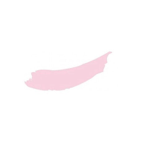 COLORE ACRILICO 60 ML ROSA PASTELLO