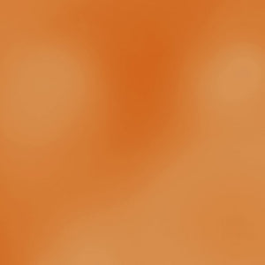 PIGMENTO METALLICO IN POLVERE 5G - RED SUNSET