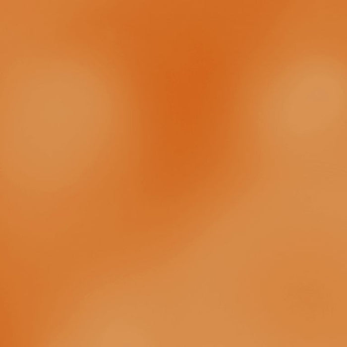 PIGMENTO METALLICO IN POLVERE 5G - RED SUNSET