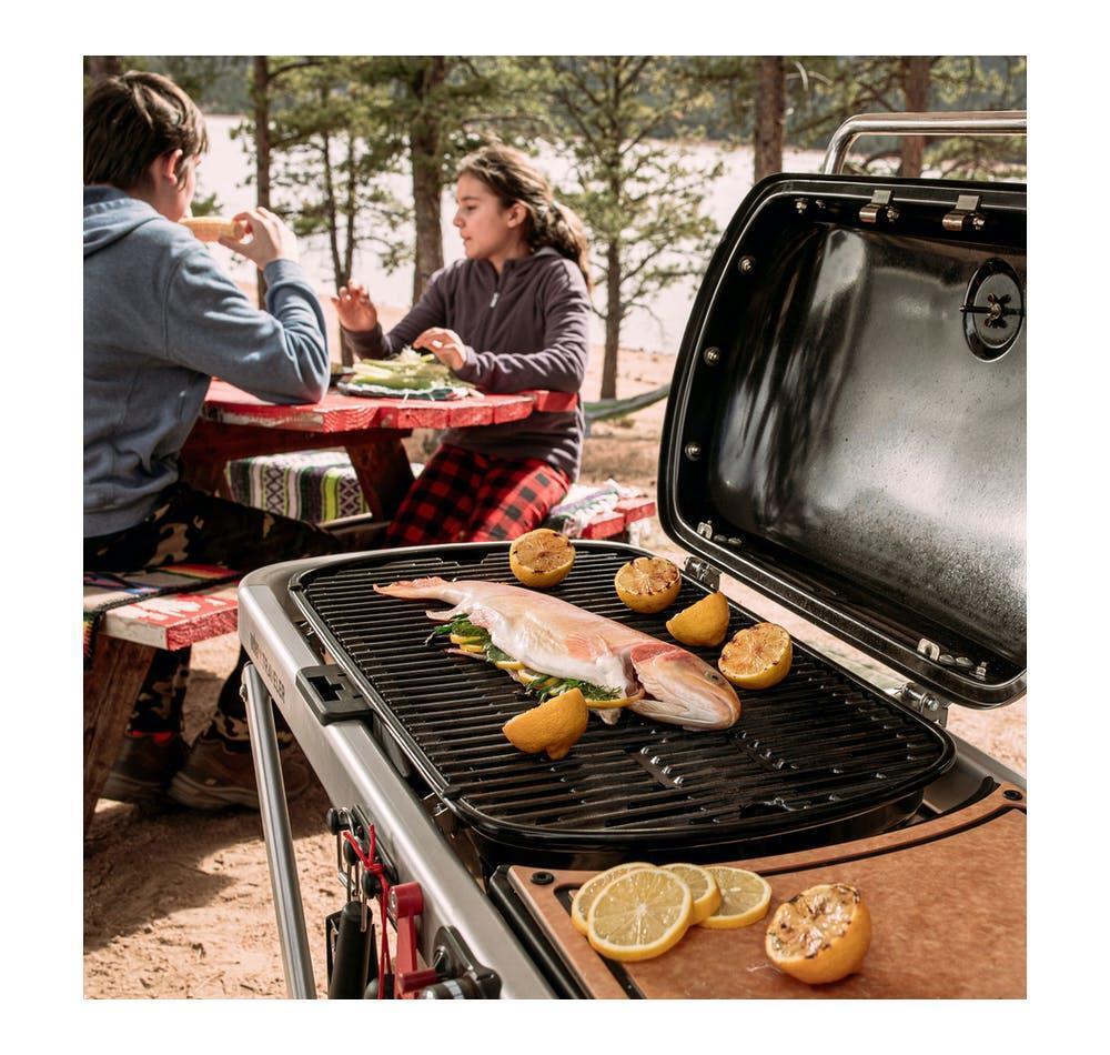 Weber Traveler - Barbecue a Gas Portatile