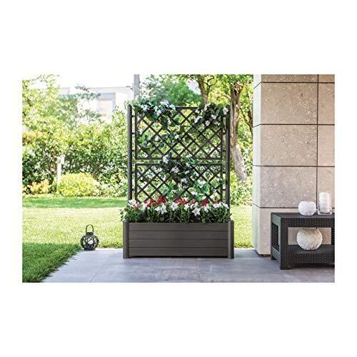 Stefanplast 80036 fioriera Esterno Libera installazione Marrone