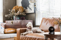 Imou Rex 3D 2K - Telecamera da interno a 360° con SENSE e riconoscimento movimento, umano ed animali e messaggio personalizzato