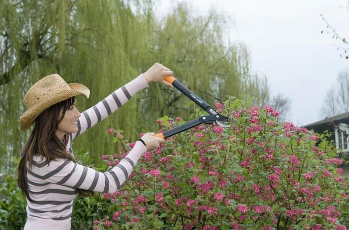 Fiskars 112190 cesoia