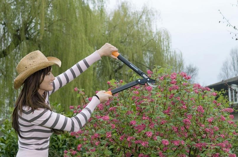 Fiskars 112190 cesoia