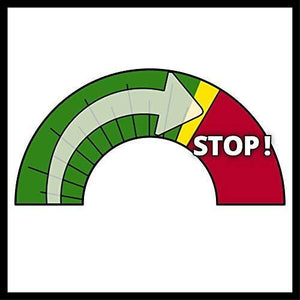 Einhell TC-IG 2000 gruppo elettrogeno 2000 W 4 L Benzina Rosso