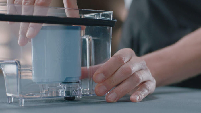 Philips Stesso filtro anticalcare e acqua di CA6903/00