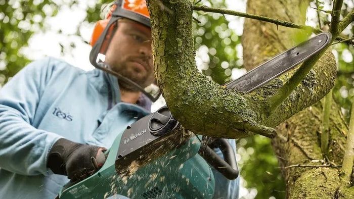 Bosch UniversalChain 35 1800 W Nero, Verde