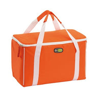 BORSA TERMICA 25L 43X23XH28CM EVO SQUARE