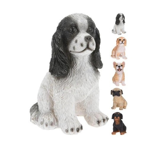 CANE RESINA 11X14CM 5ASS