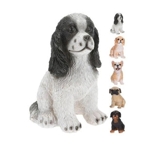 CANE RESINA 11X14CM 5ASS