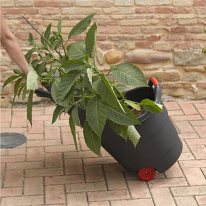 Toomax CARRELLO TROLLEY PROGRESS 53X59XH90CM ANTRACITE.