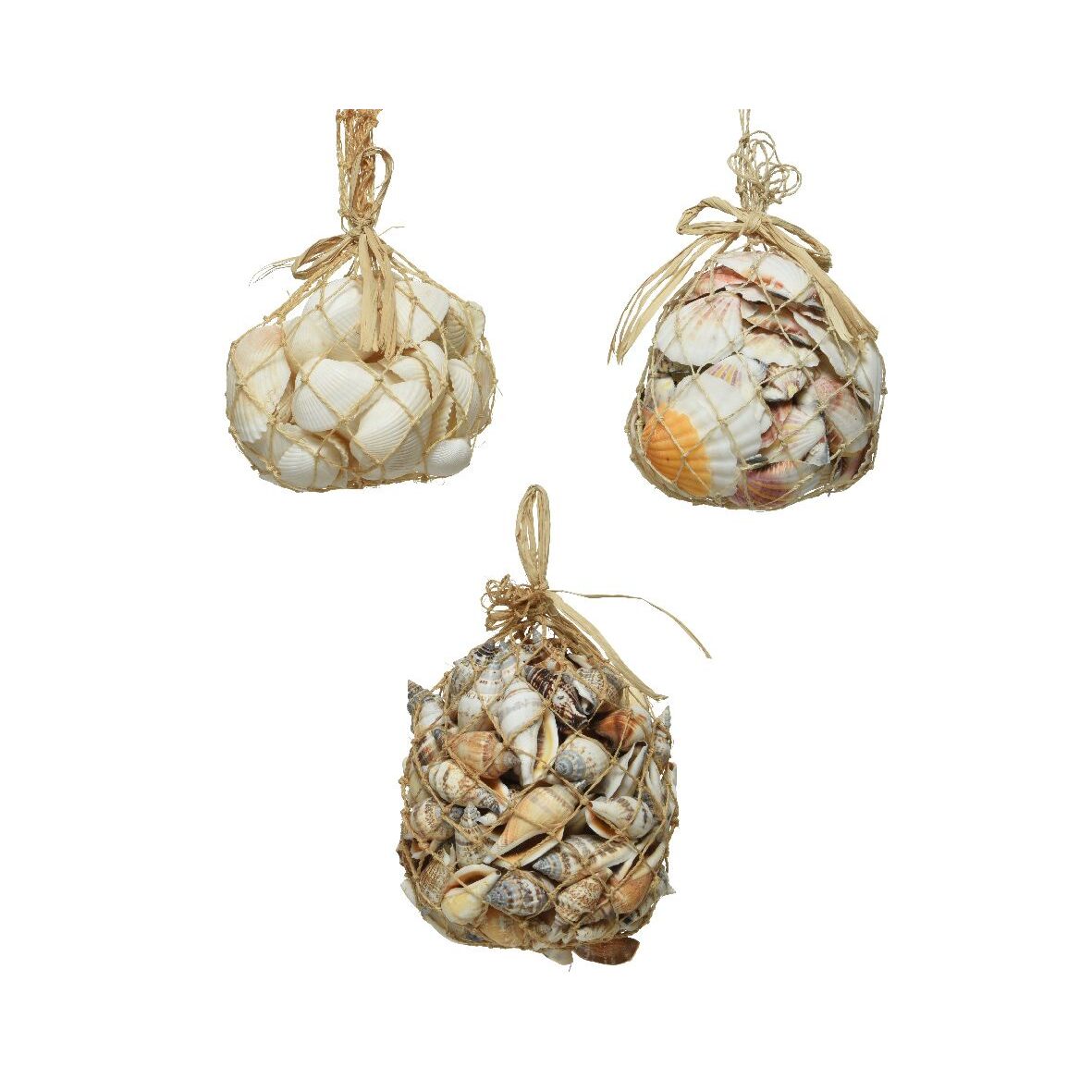 CONCHIGLIE DECORATIVE IN RETINA NATURALE