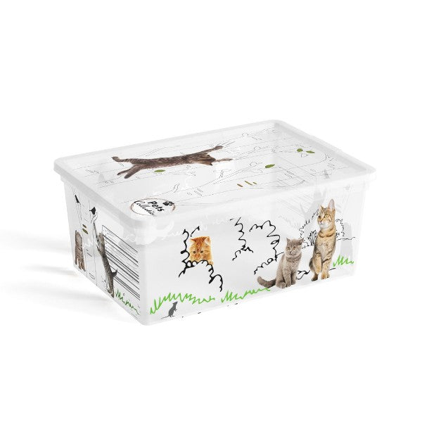 CONTENITORE C BOX 37X26XH14CM PETS COLLECTION