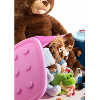 CONTENITORE FUNNY BOX 58X39XH32CM ROSA