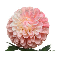 DALIA DECORATIVA ROSA H75CM