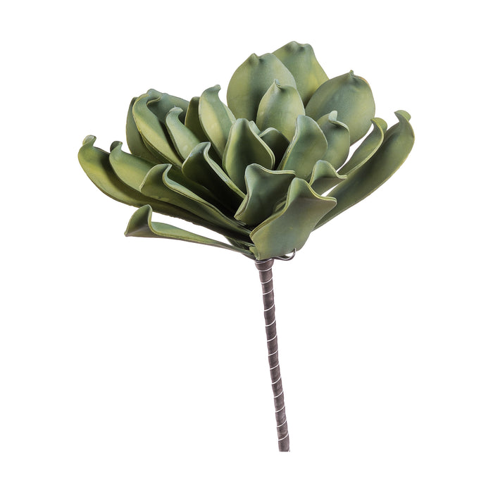 ECHEVERIA DECORATIVA 60CM