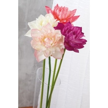 FIORE DI LOTO ASS4COL CM 84