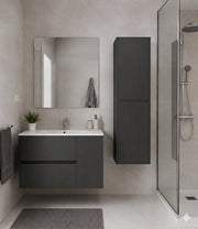 Mobile Bagno HEIMDALL Già Montato 2 cassetti e porta, lavabo e specchio Grafite 60x45 cm con colonna