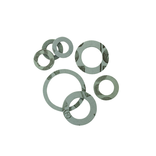 GUARNIZIONE SANITARIE DA 1